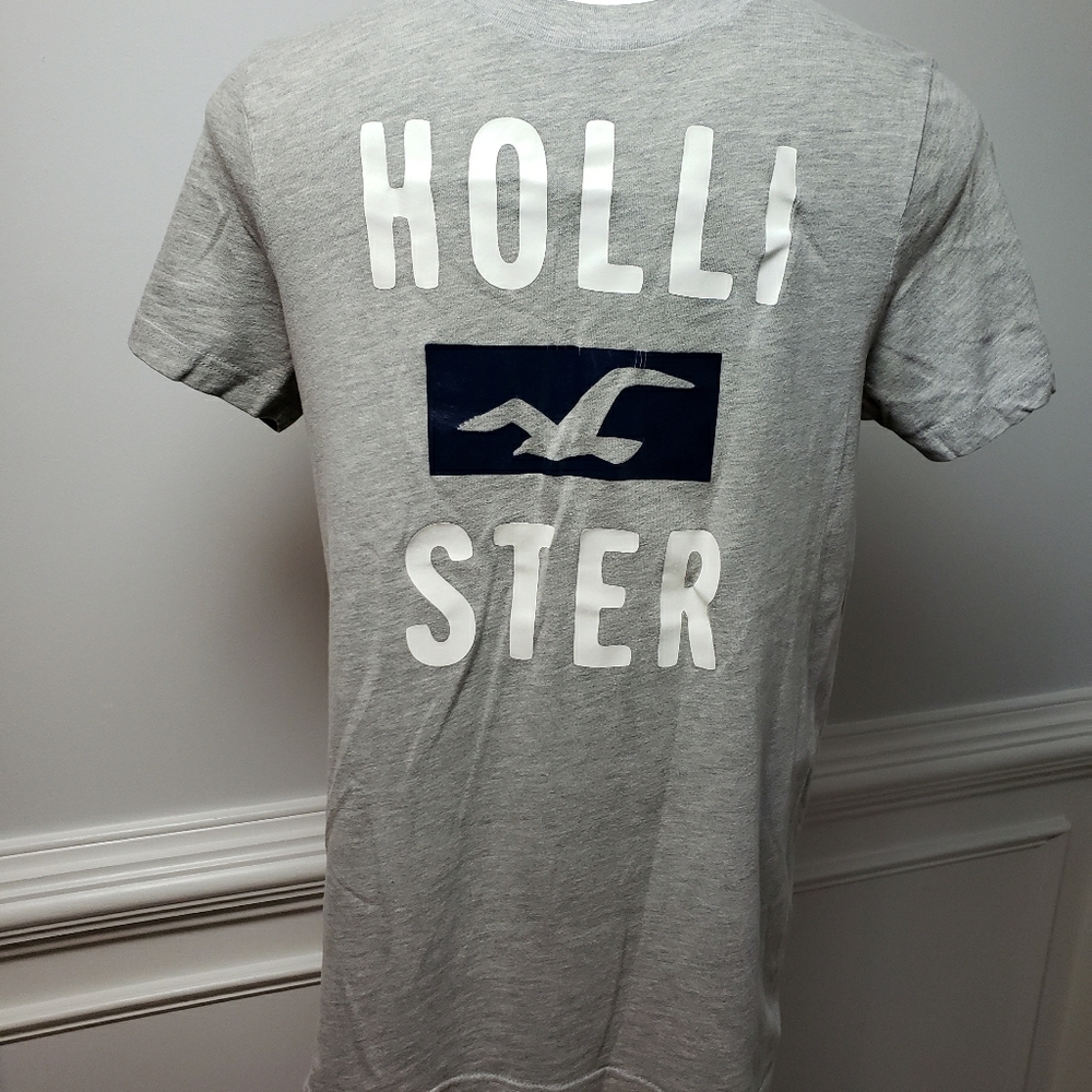 Mens Hollister t-shirt